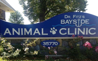 Welcome to Dr. Fitz’s Bayside Animal Clinic!