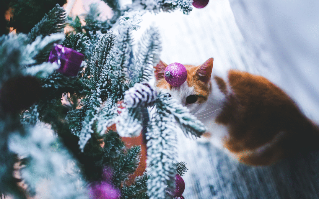 Keeping a Pet Calm When Hosting a Holiday Party