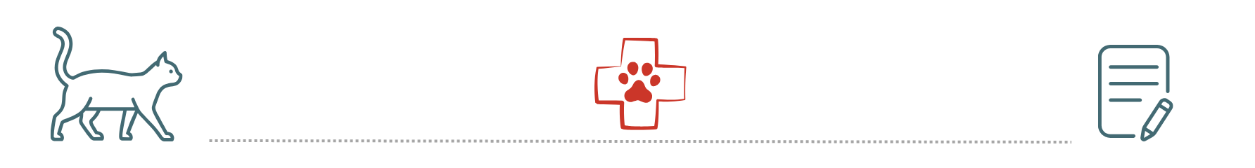 pet insurance supports preventive care at Dr. Fitz's Bayside Animal Clinic in New Baltimore MI